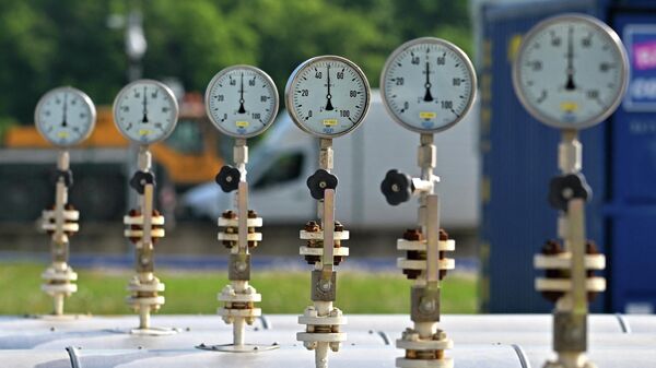 На одном из крупнейших межсетевых газовых узлов в Европе в Баумгартен-ан-дер-Марч, Австрия - Sputnik Азербайджан