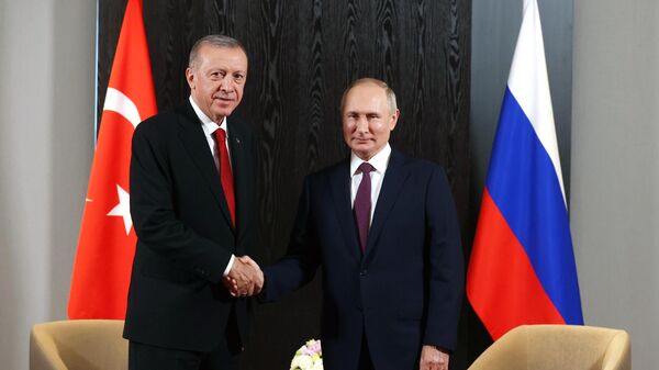 Путин и Эрдоган - Sputnik Азербайджан